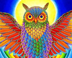 сорокоручка