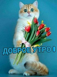 Викторияvika